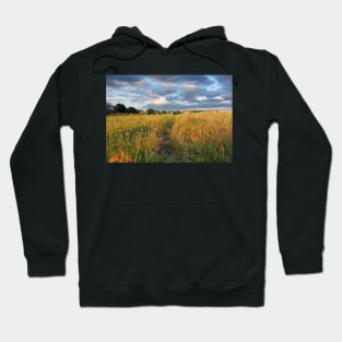 This is my Village Hoodie